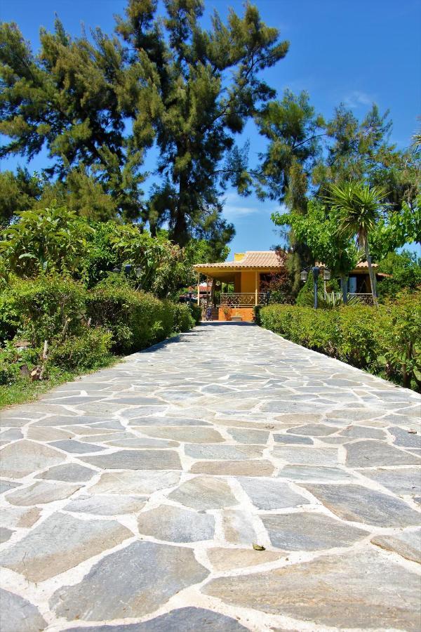 Amarynthos Beachfront Vacation House With Garden Vatheia エクステリア 写真